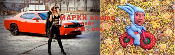 ECSTASY Липки