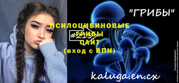 ECSTASY Липки