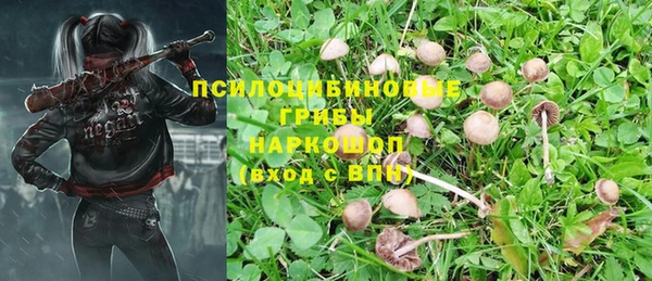 прущие крисы Покачи