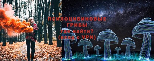 ECSTASY Липки